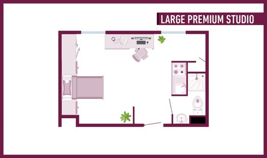 Large Premium Studio