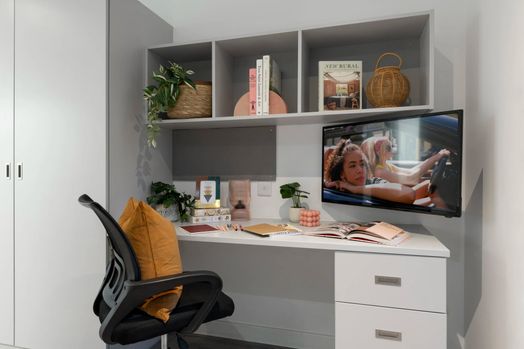 Standard Studio Plus
