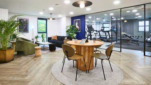 Photo of a sky Blue Point.