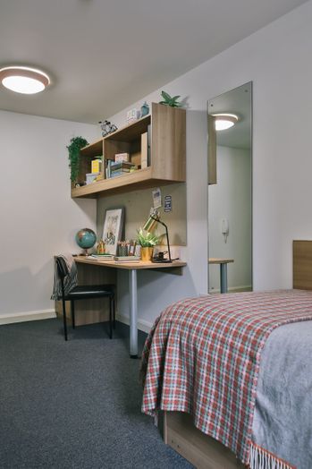 Classic Bigger Shared Apartment