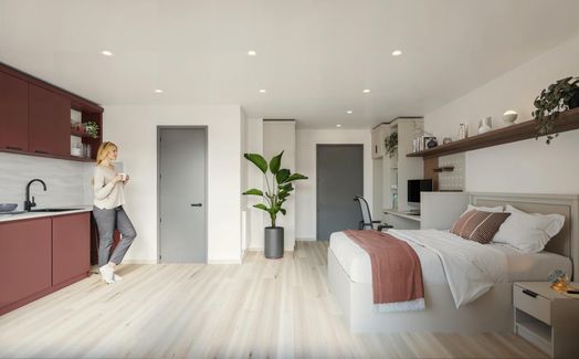 Platinum Plus Studio