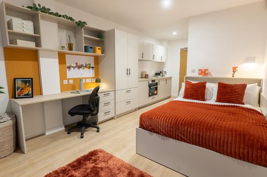 Penthouse Luxe Studio