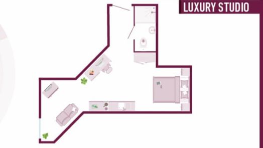 Luxury Studio