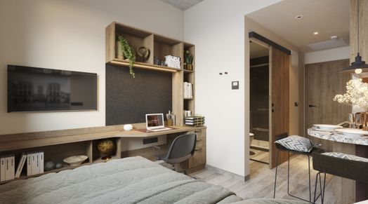Apartment (17 m²)