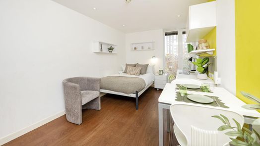 Standard Studio Silver