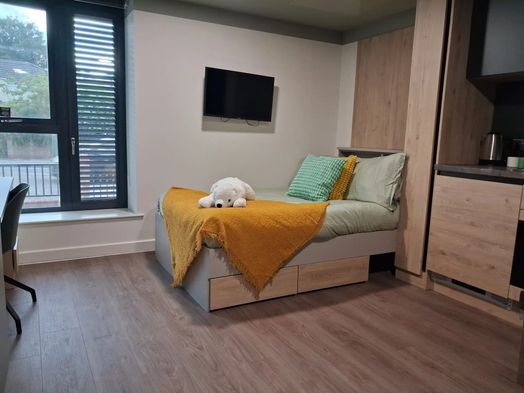 Extra Large Studio – Accessible