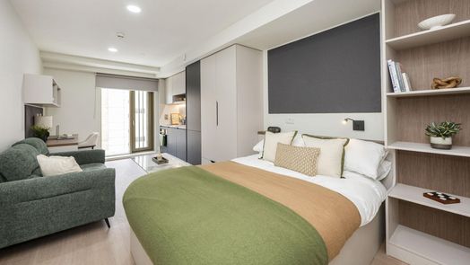Premium Terrace Studio