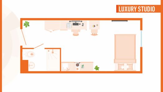 Luxury Studio
