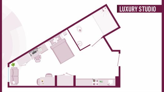 Luxury Studio