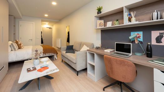 Premium Studio