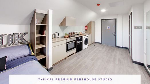 Premium Penthouse Studio