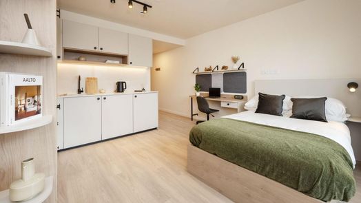 Large Premium Studio (Dual Occupancy)