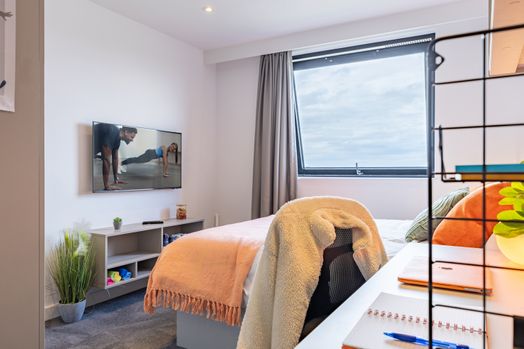 true Apartment Plus