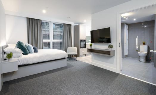 true Accessible Studio