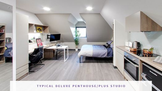 Deluxe Plus Penthouse Studio