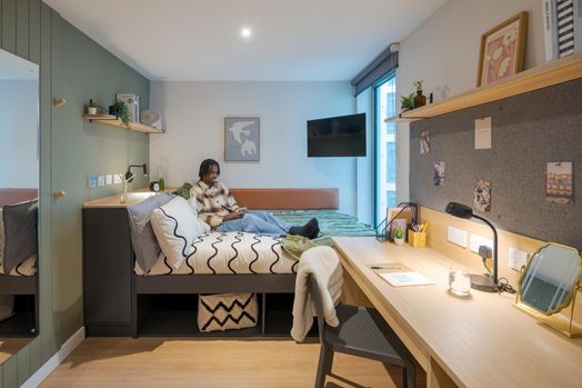 Premium (Accessible) Studio, Standard Floors