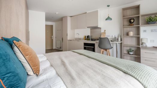 Platinum Plus Studio