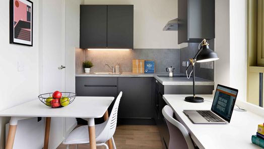 Accessible Bronze Studio - Single Occupancy