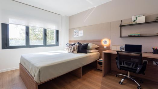 Classic Room (3-Bed)