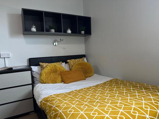 Premier Plus Studio